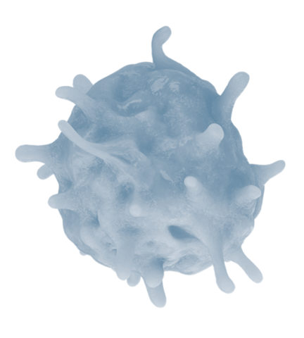AXA_Macrophage_BrandArt_silo